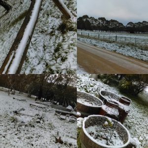 ClayMotion Snow July 2016 Ballarat