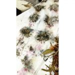 Botanical dyeing workshops at ClayMotion Ballarat Victoria